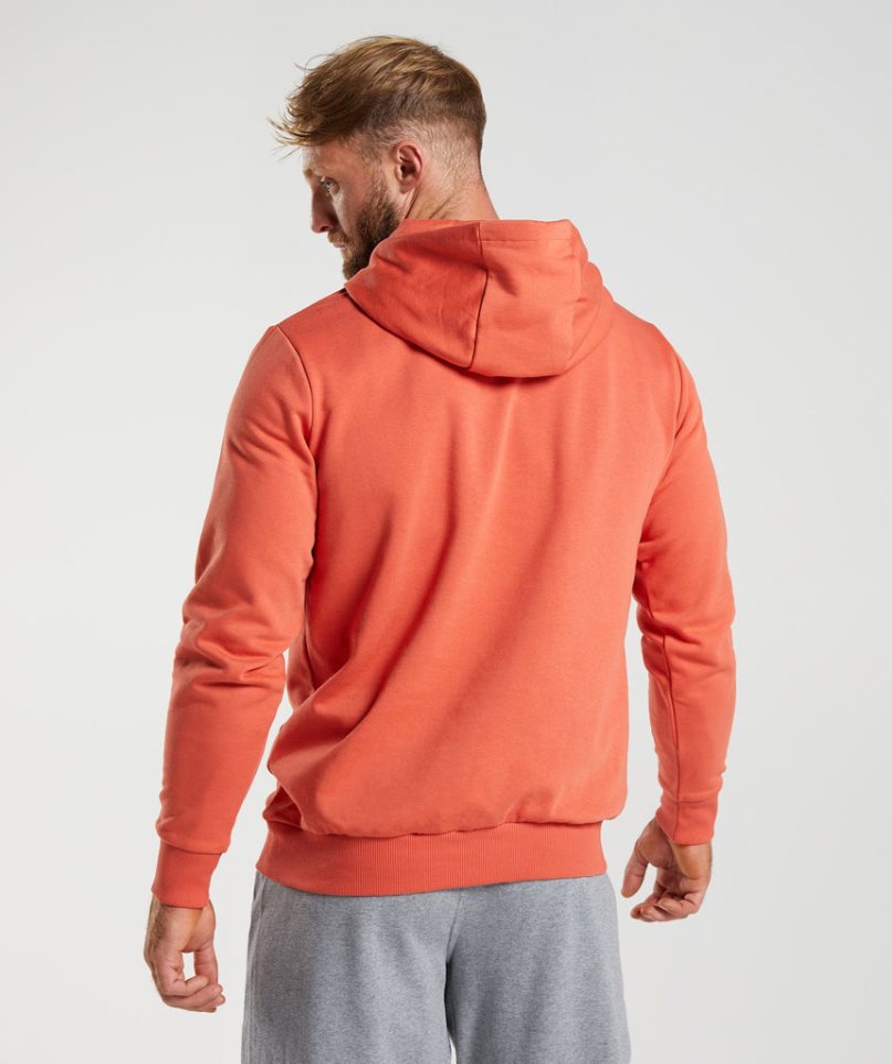 Bluzy Z Kapturem Gymshark Sharkhead Infill Męskie Pomarańczowe | PL 390HXS